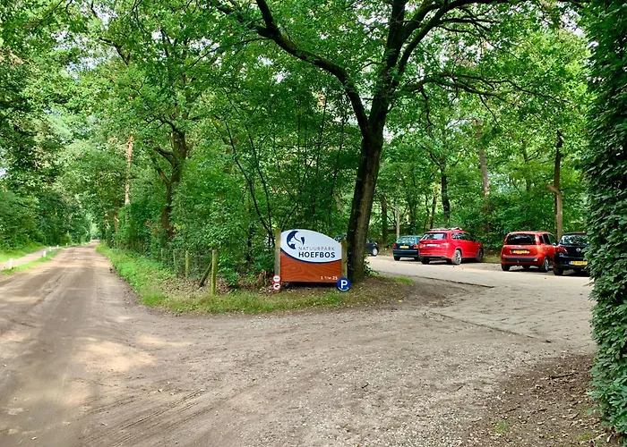Rode Bosuil: Thuiskomen Op De Veluwe!